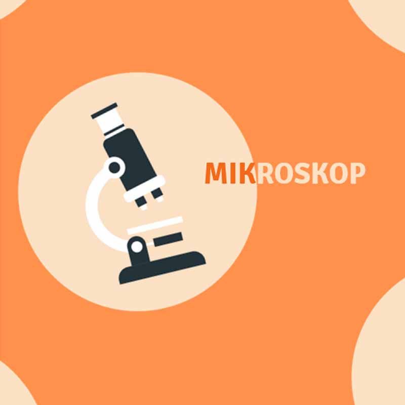Mikroskop 