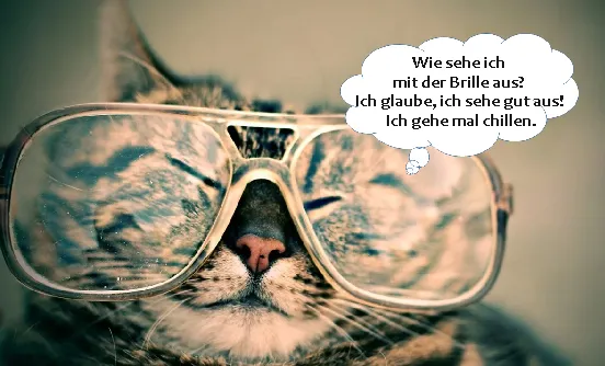 Dateiname des Bildes: 202025_CatmitText