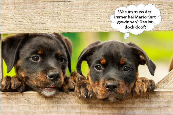 Dateiname des Bildes: 202025_HuntmitText