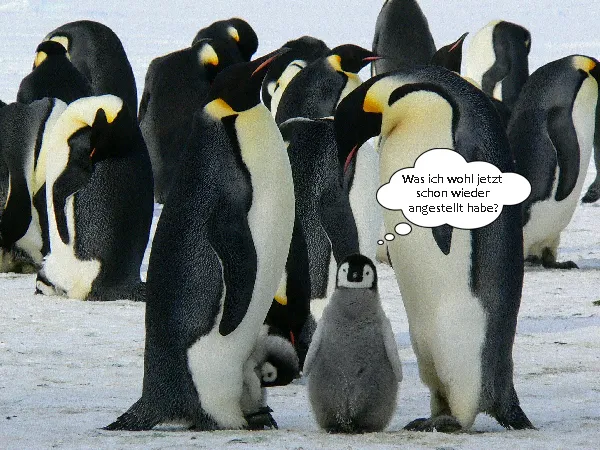 Dateiname des Bildes: 202025_PinguinmitText