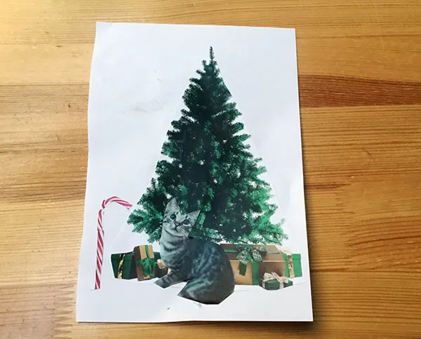 Dateiname des Bildes: CollageSitzendeKatze