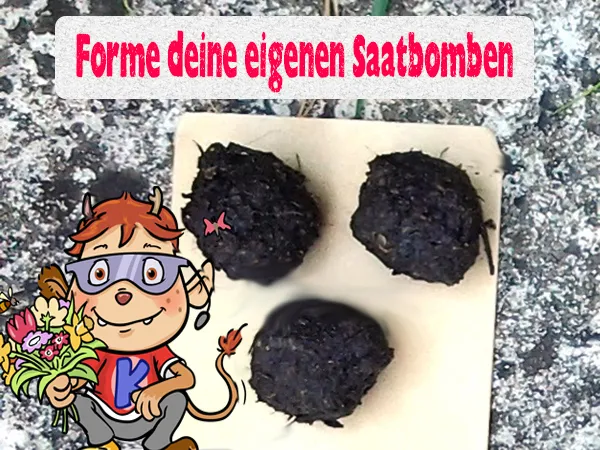Dateiname des Bildes: SaatbombenVorschaubildKabu