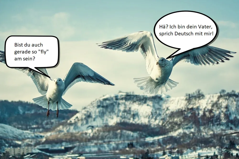 Dateiname des Bildes: Vögel1